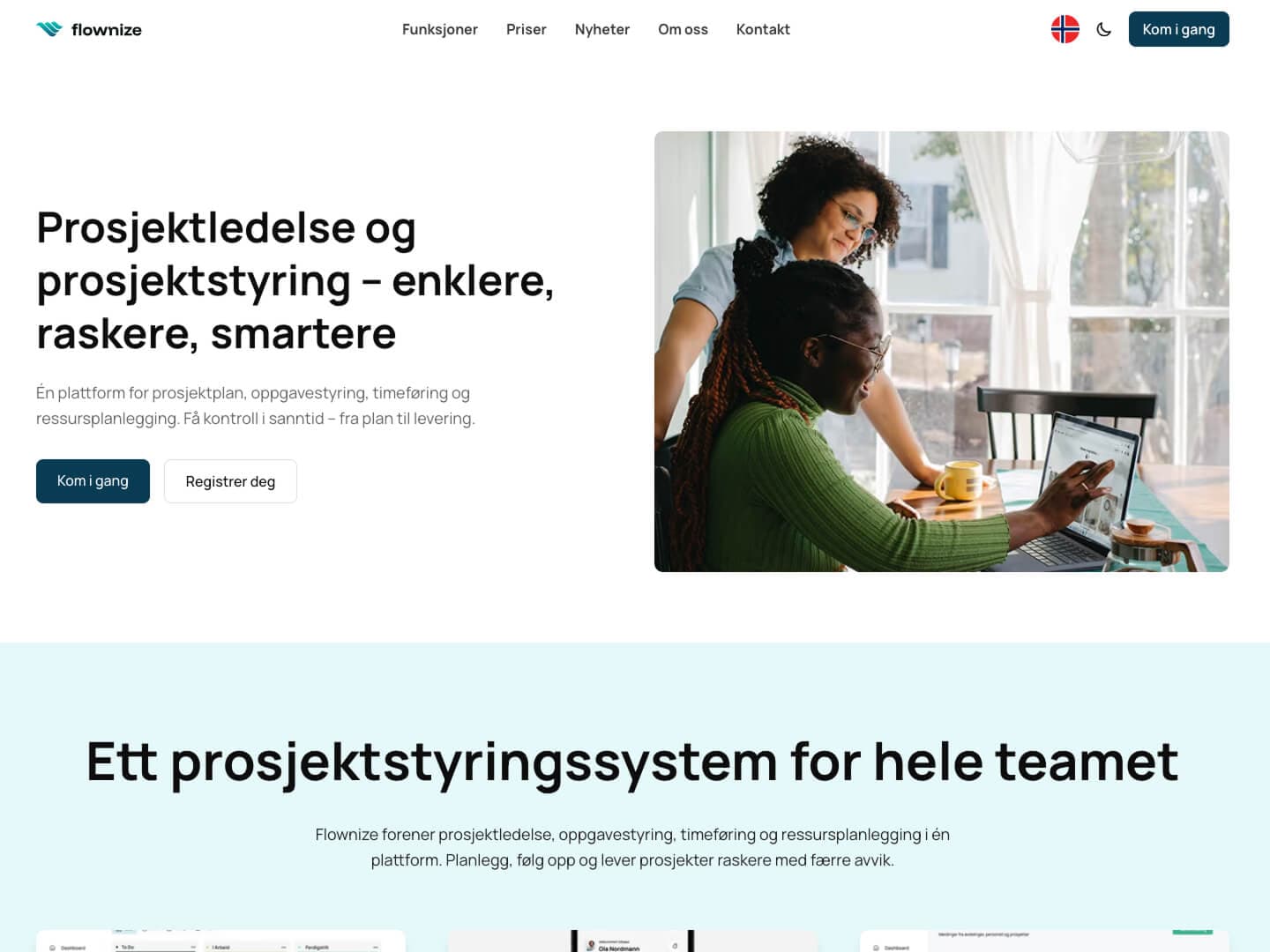 Flownize screenshot